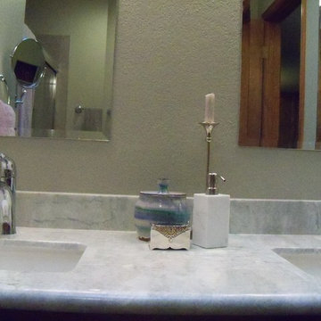 Transitional North Mesa Guest Bathroom