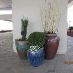 Container gardening - Products