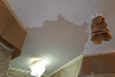 Ceiling Repaint