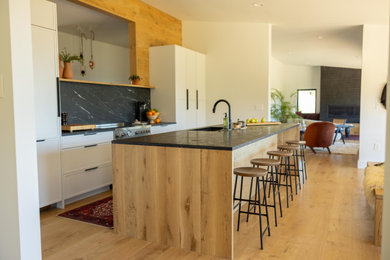 Large minimalist galley light wood floor eat-in kitchen photo in Denver with an undermount sink, flat-panel cabinets, white cabinets, soapstone countertops, black backsplash, stone slab backsplash, white appliances, an island and black countertops