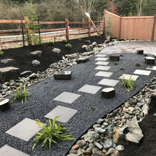 back yard 2023