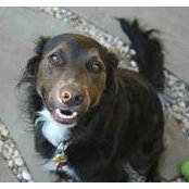 Robert Bessone's photo