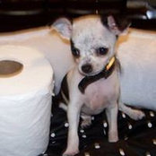 Monia Detora's photo