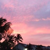 Melanie Morgan's photo
