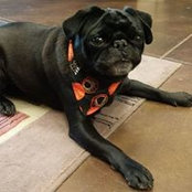 Doug Davidson's photo