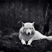 Julia Vassileva's photo