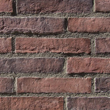 Thin Brick