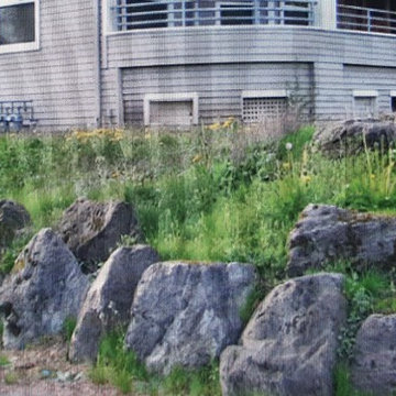 Historic Williams Ave. North Portland Restoration