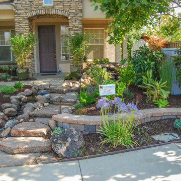 Front Yard