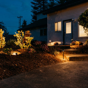 Path Light & Washer on Bushes