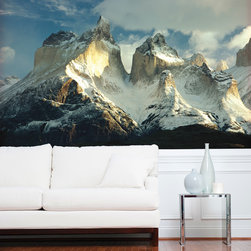 National Geographic Murals - Wall Decals