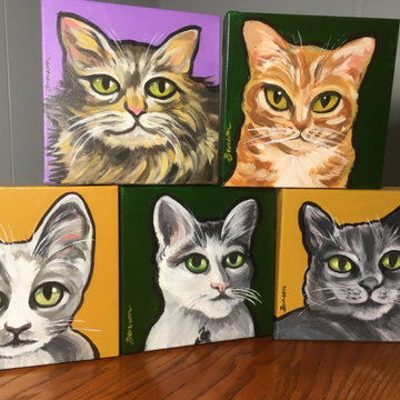 Pet portraits