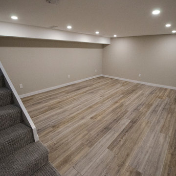 Leslieville Basement