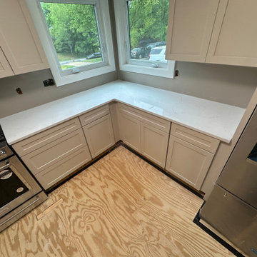 Kitchen remodeling
