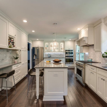 "Best Of" Kitchen Remodel Projects
