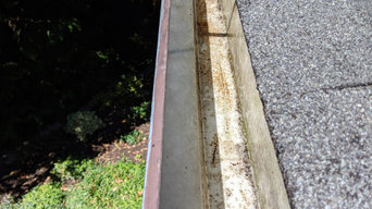 Gutter and roof cleaning