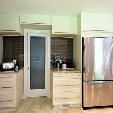 Ottawa Transition Kitchen 2
