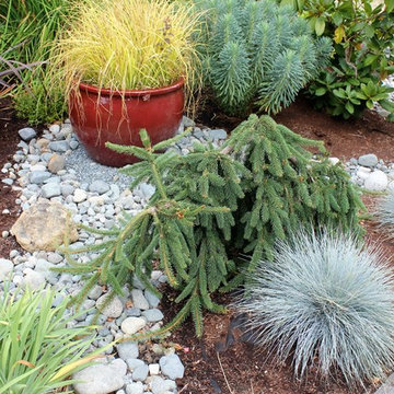 informal river rock border