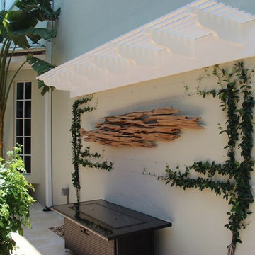 Espalier - Frame, in training