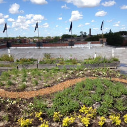 Omni Green Roof - Products