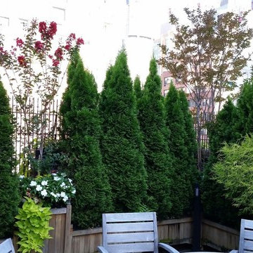 Rooftop garden specialists NYC