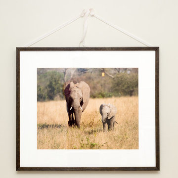 Romantic and Playful Girl's Nursery
