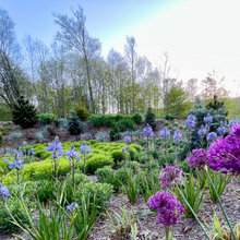 Gardening Ideas