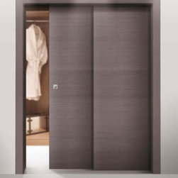 Contemporary doors - Interior Doors