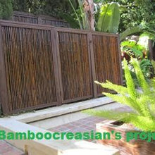 Bamboo Fence / Carp