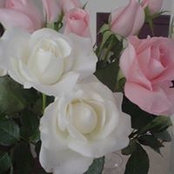 Mayda Campos's photo