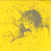 emily wallersteinさんの写真
