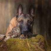 Foto von Sara Bower