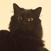 Suzy Hampson's photo