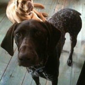 Laura Abrams's photo