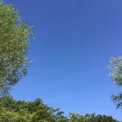 Foto von 水島宏法