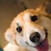 Deanna Oleske's photo