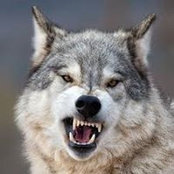 George Durgin's photo
