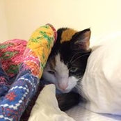 Kathy Lambert's photo