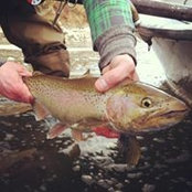 Jamie Ensign's photo