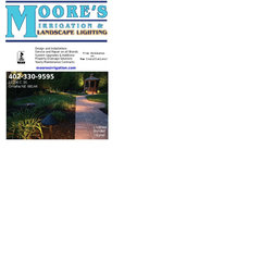 MOORE'S LANDSCAPE LIGHTING