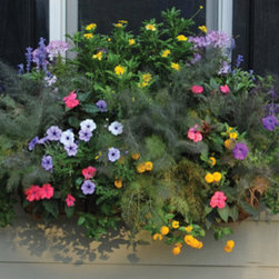 36" Window Box Planter - Outdoor Decor