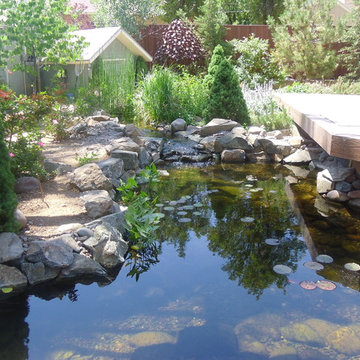Creasman Residence Backyard Ecosystem Pond in Prescott, AZ