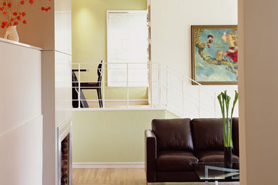 This is an example of a mid-sized contemporary entryway in San Francisco with green walls and light hardwood floors.