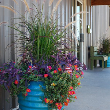 Summer Container Gardens