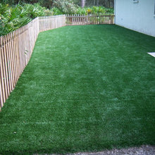 Dog spaces