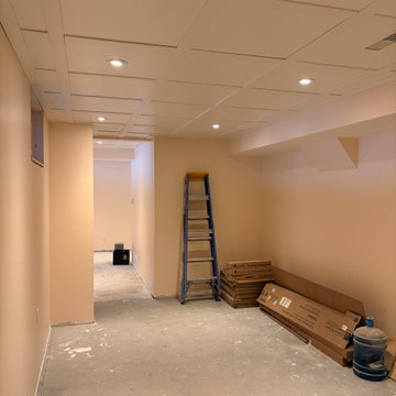 Basement Renovation