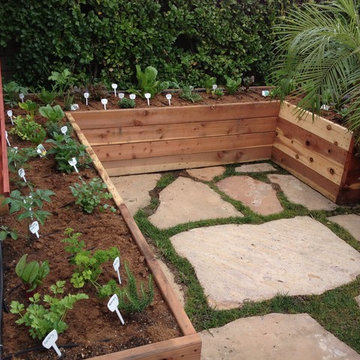 Raised Vegetable Garden with Vertical Growing Space
