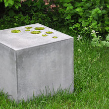 Cement