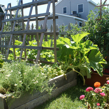 Vegetable & Herb Gardens
