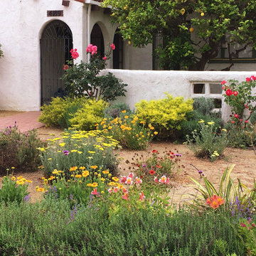 Vivacious Mediterranean Front Yard
